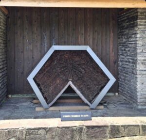 淡路島の一棟貸別荘　桧皮葺　伊弉諾神宮